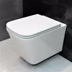 Унітаз підвісний Dusel Ivia DWHT10210330R з сидінням Soft Close дюропласт