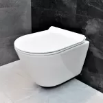 Унітаз підвісний Dusel Teri DWHT10202330 з сидінням Soft Close дюропласт